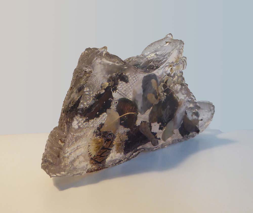 Resin Shoe Mary Eynon