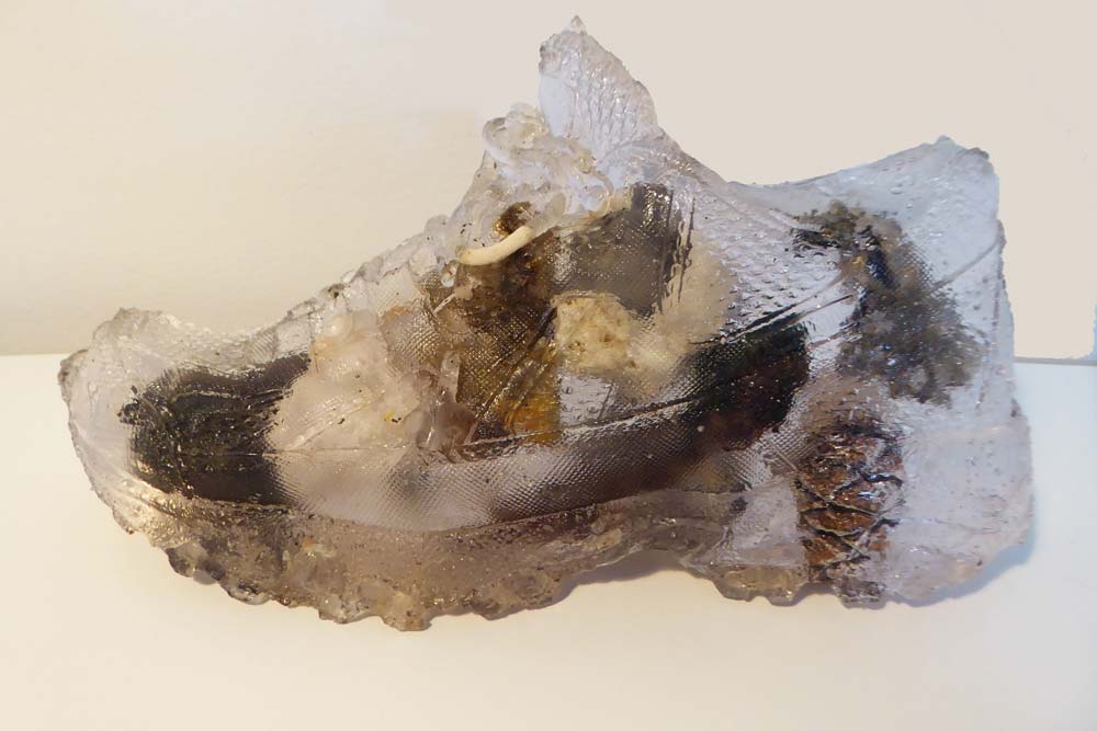 Resin Shoe Mary Eynon